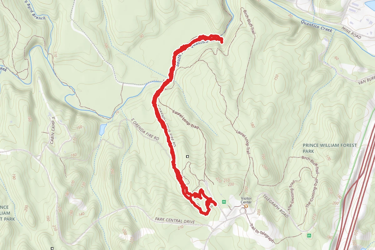 Pine Grove Forest Trail