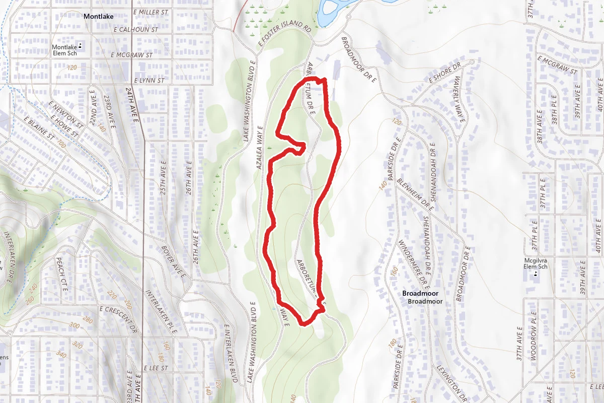 Lookout Loop