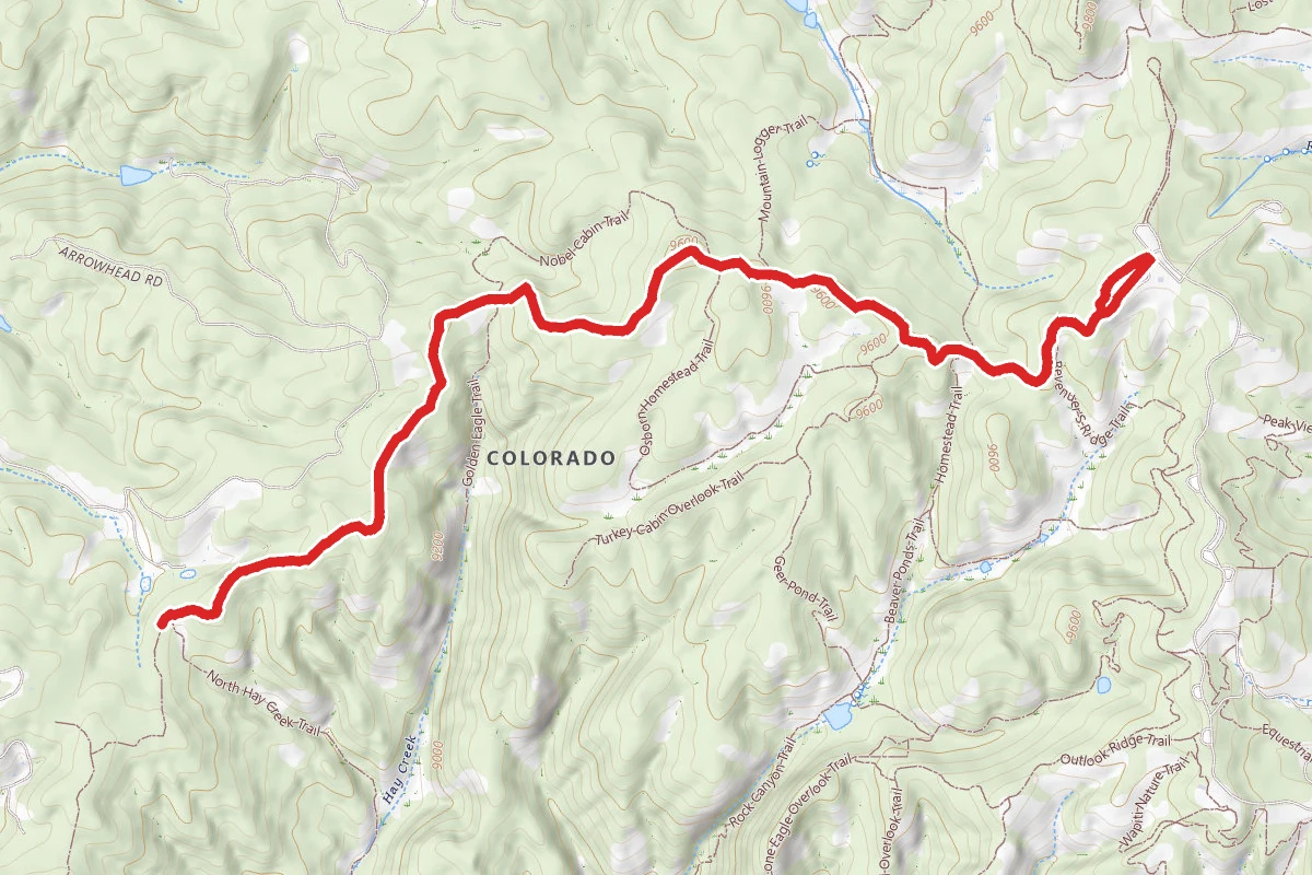 Black Bear Trail