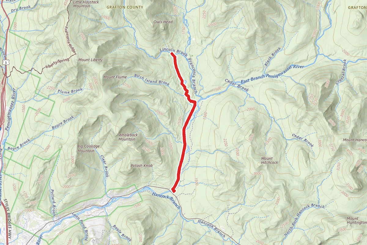 Black Pond Trail Via Lincoln Woods Trail