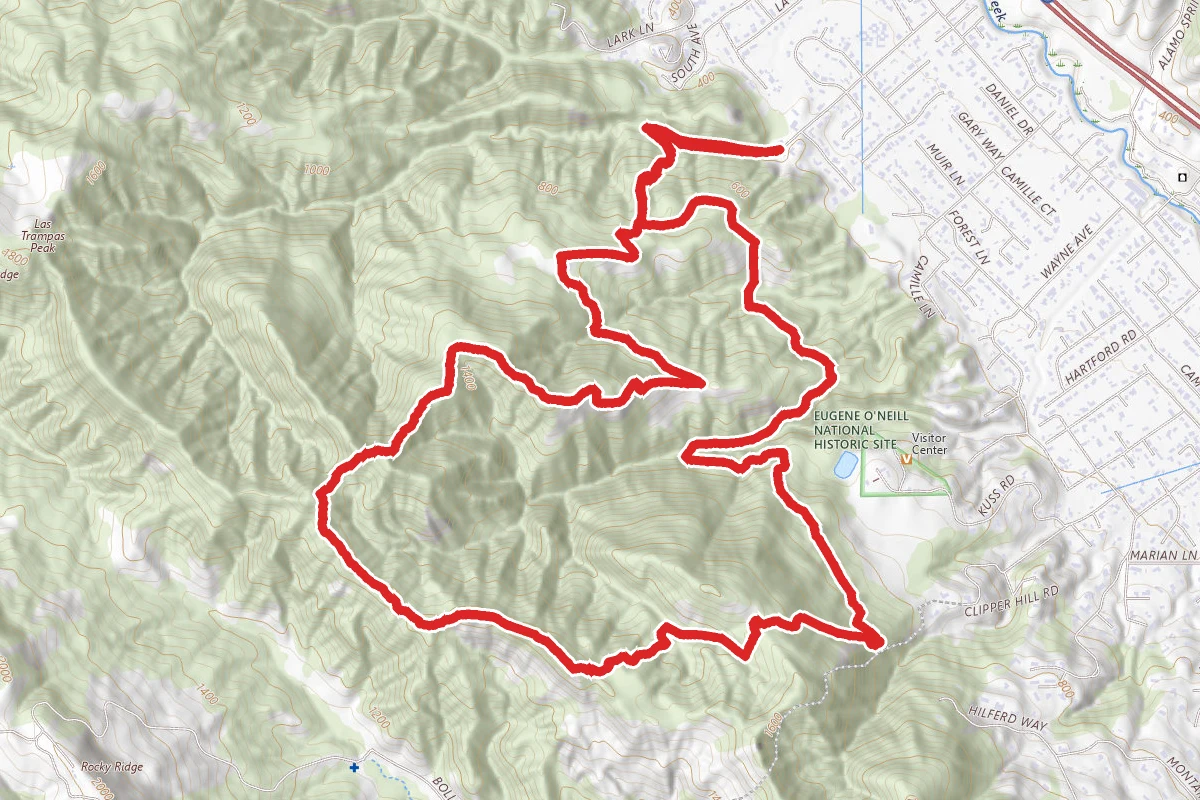 Ringtail Cat Trail to Calaveras Ridge