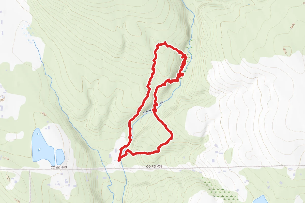 Silent Wood Trail
