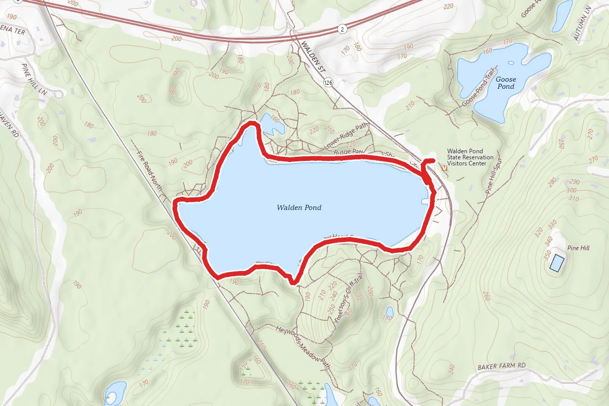 Walden Pond Path