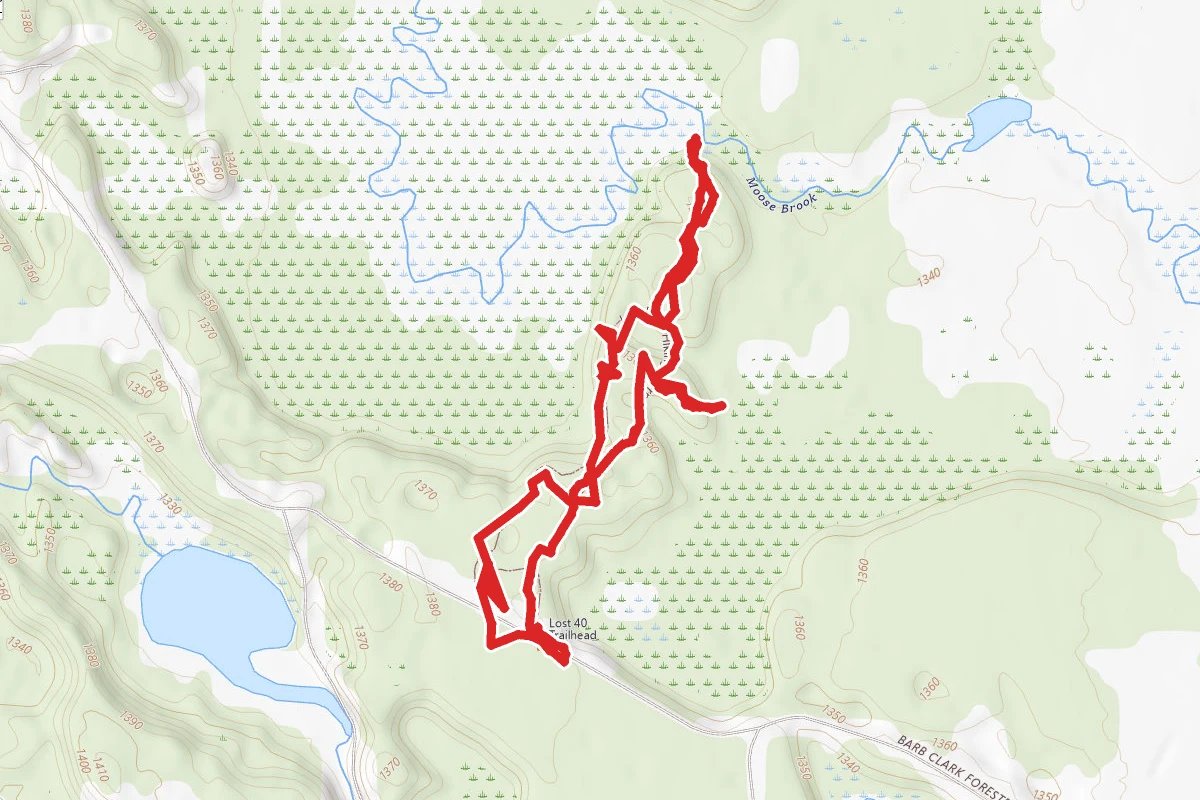 Lost '40' Trail