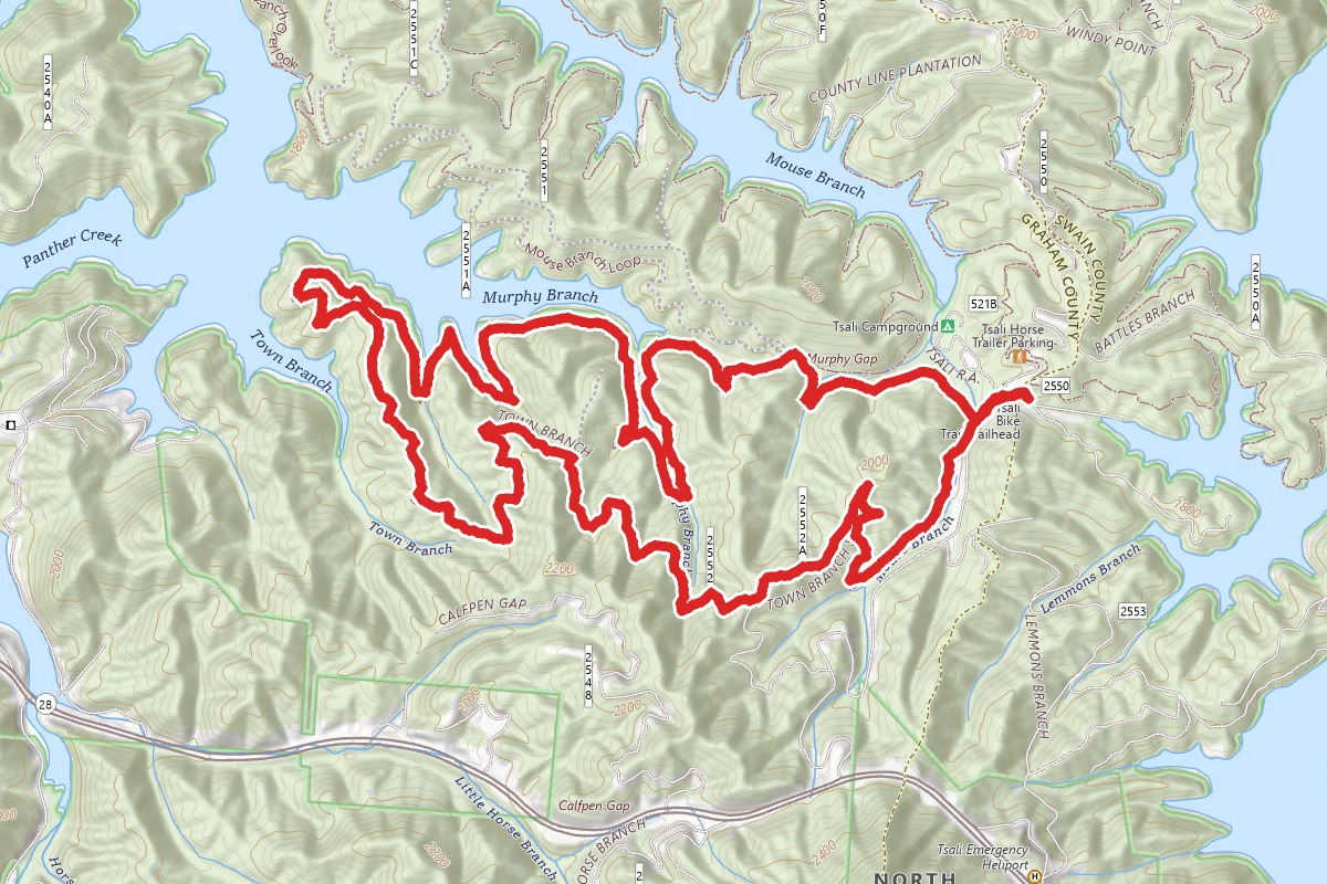 Thompson Loop