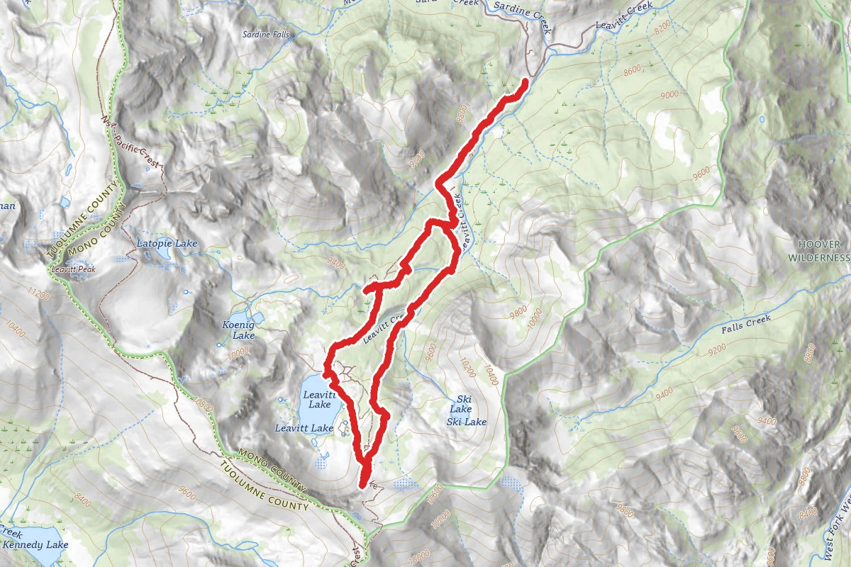 Leavitt Lake Trail
