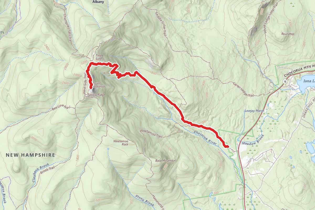 Piper Trail