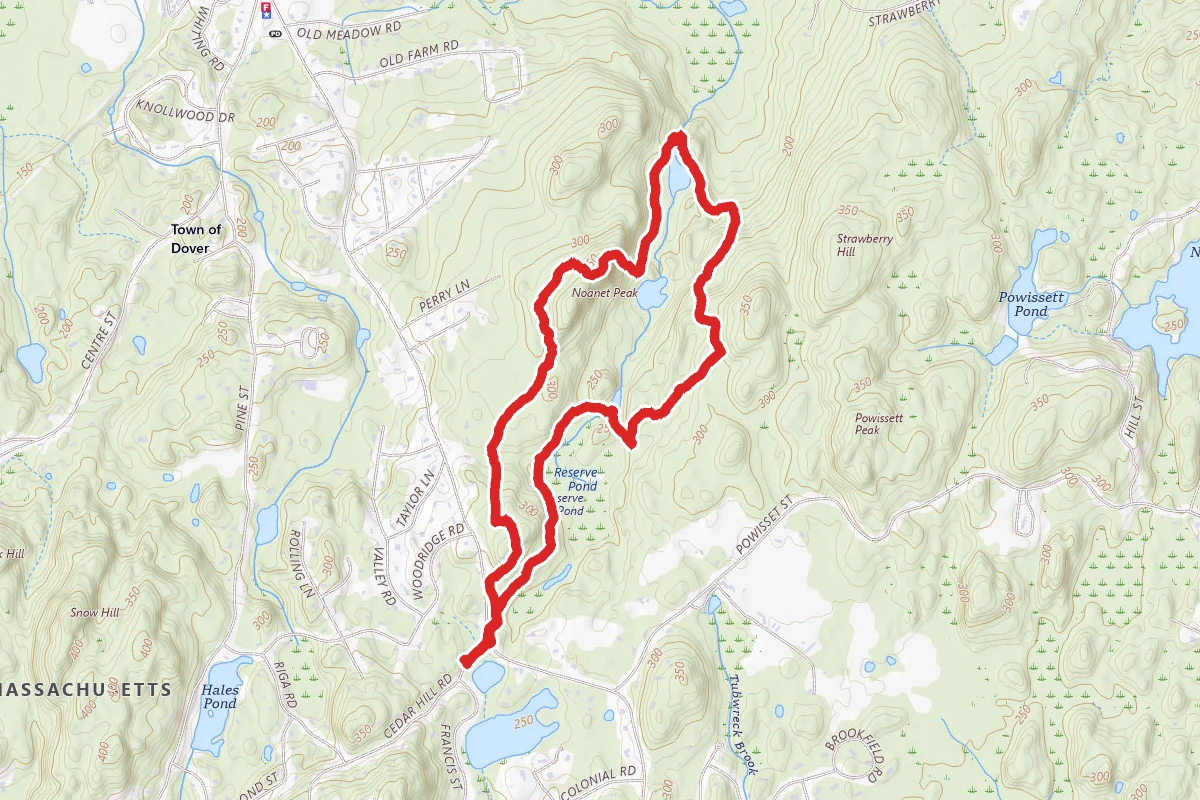 Noanet Peak Loop (from Cedar Hill Road)