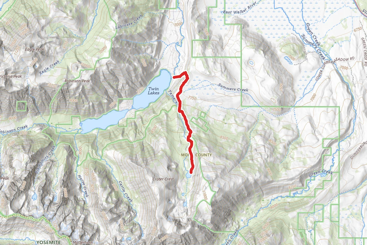 Tamarack Lake Trail (Twin Lakes)