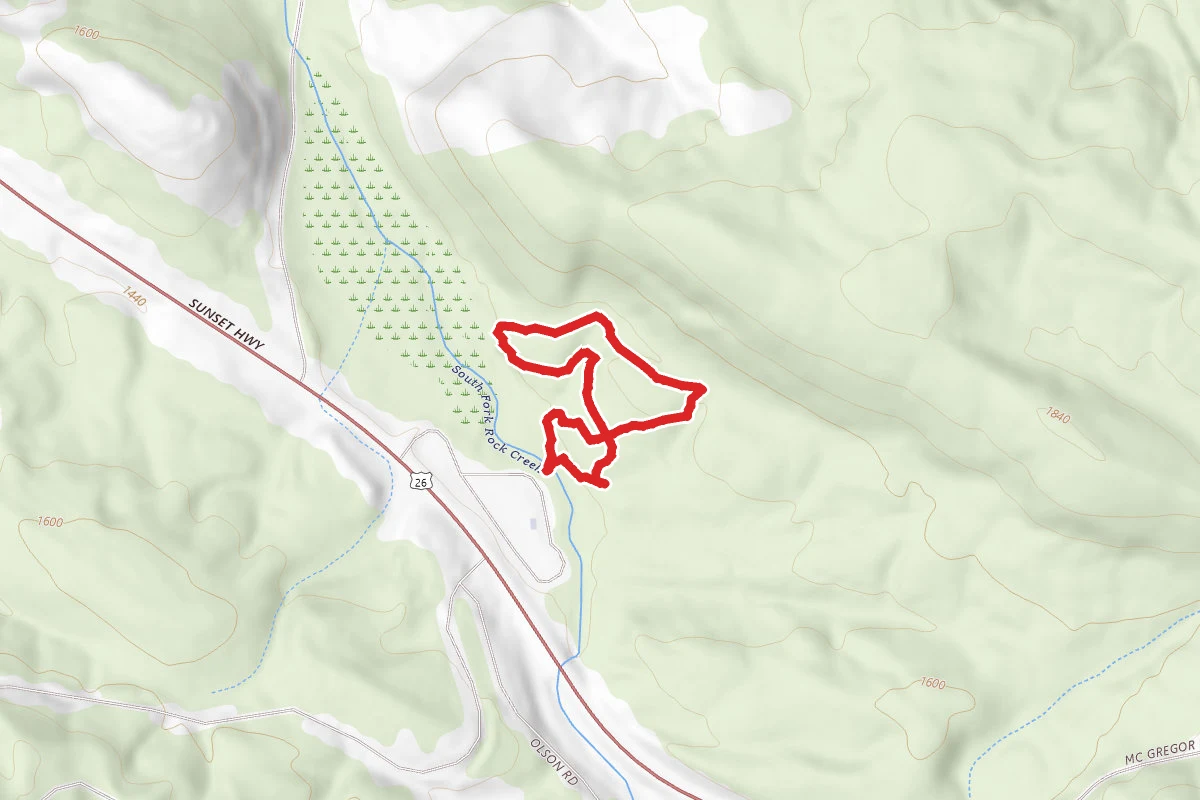 Steam Donkey Trail