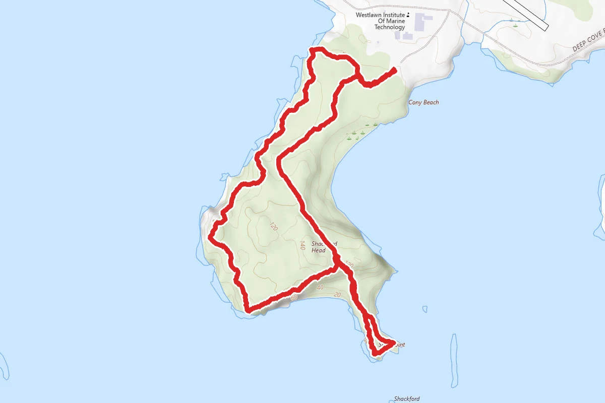 Shackford Head Trail