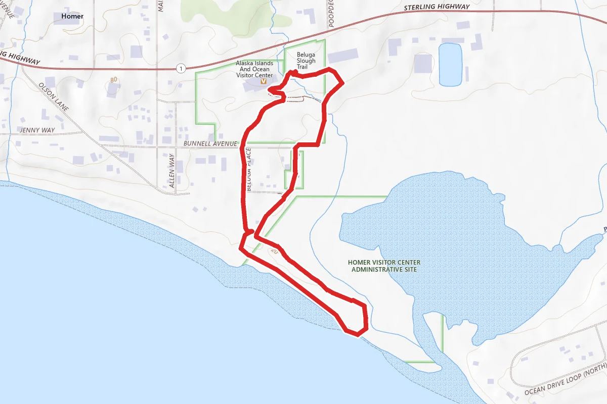 Beluga Slough Trail