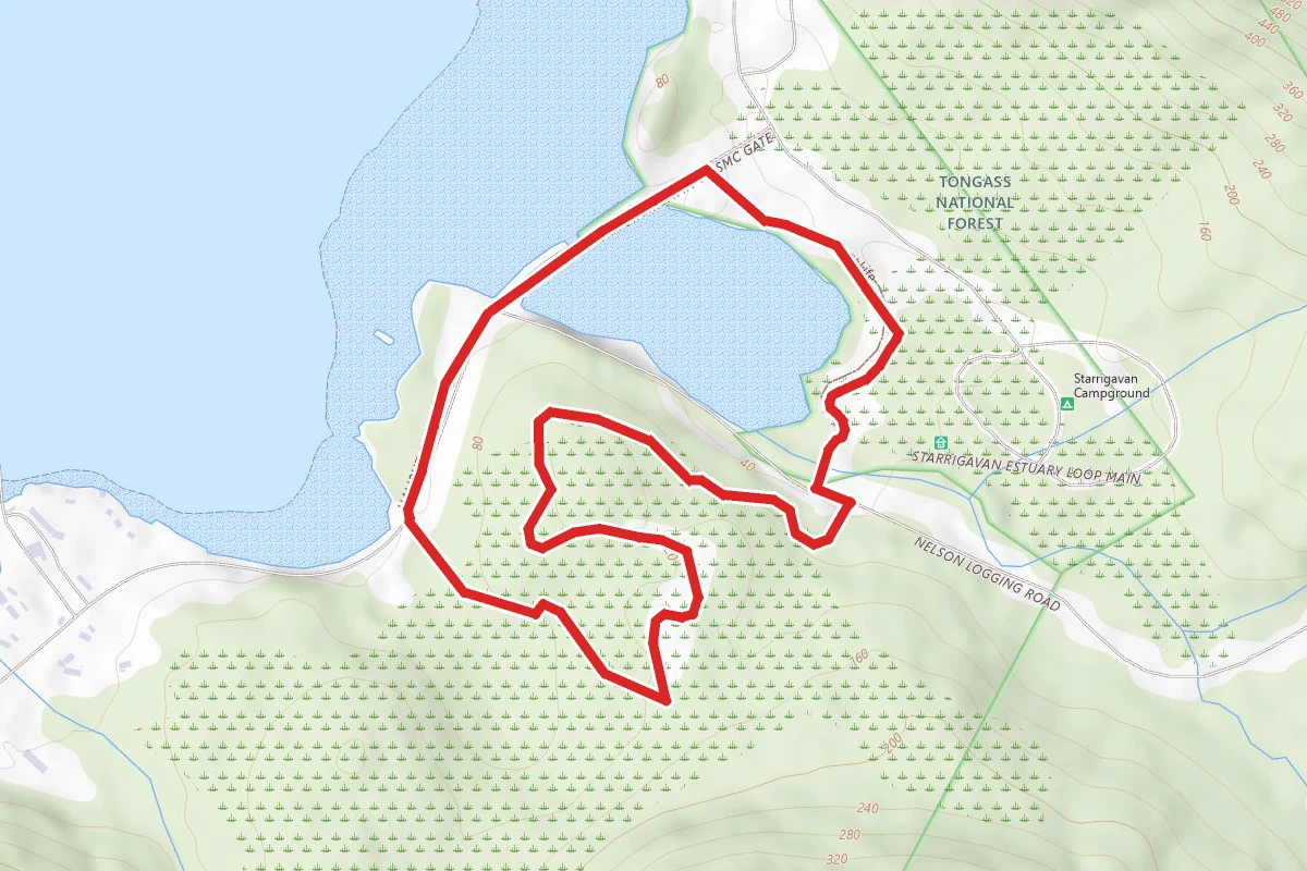 Starrigavan Fish Viewing Trail