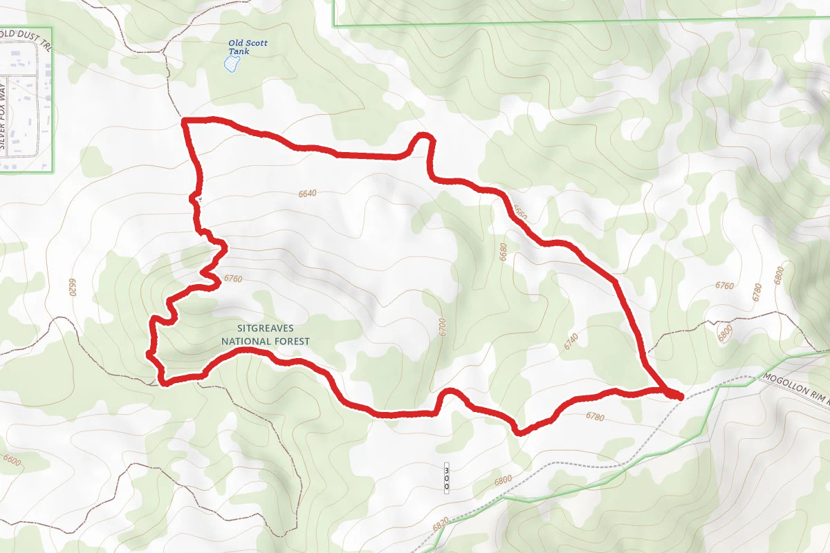Porter Mountain Trails (Panorama and Timber Mesa Trails)