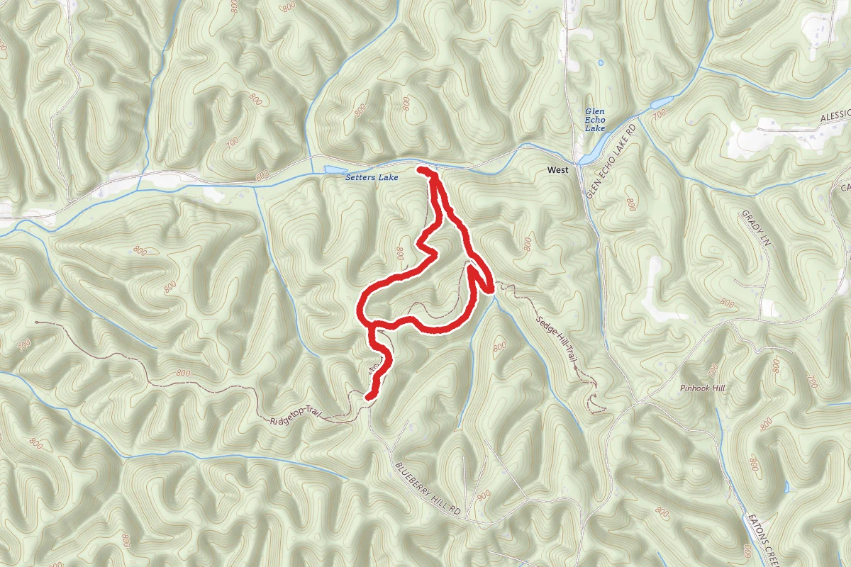 Henry Hollow Loop Trail