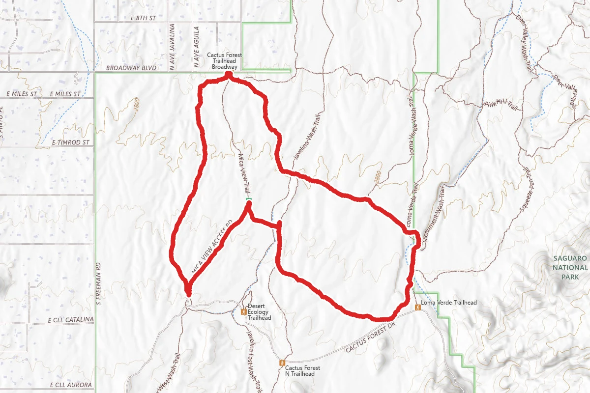 Shantz, Mesquite, Loma and Cholla Trail Loop
