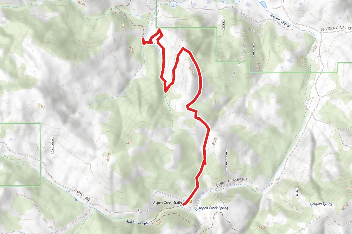 Cold Spring Trail #393