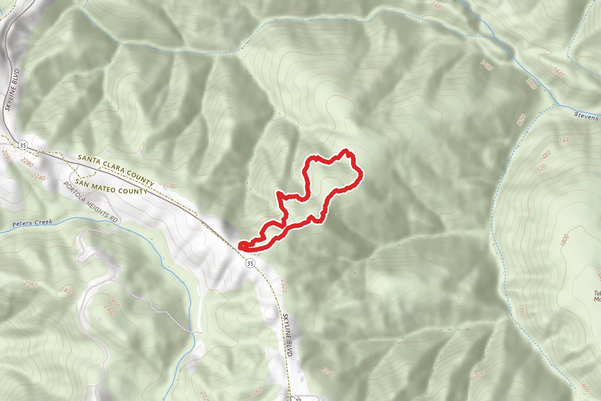Grizzly Trail Short Loop