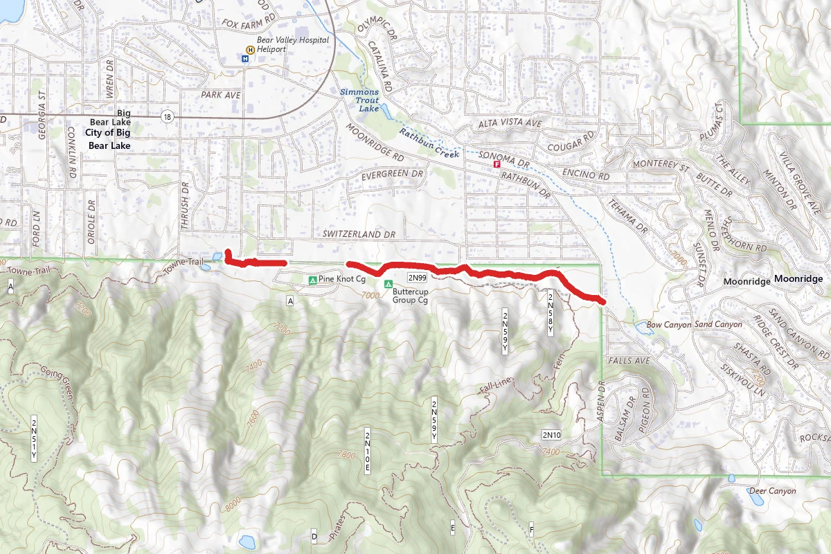 Bristlecone Road