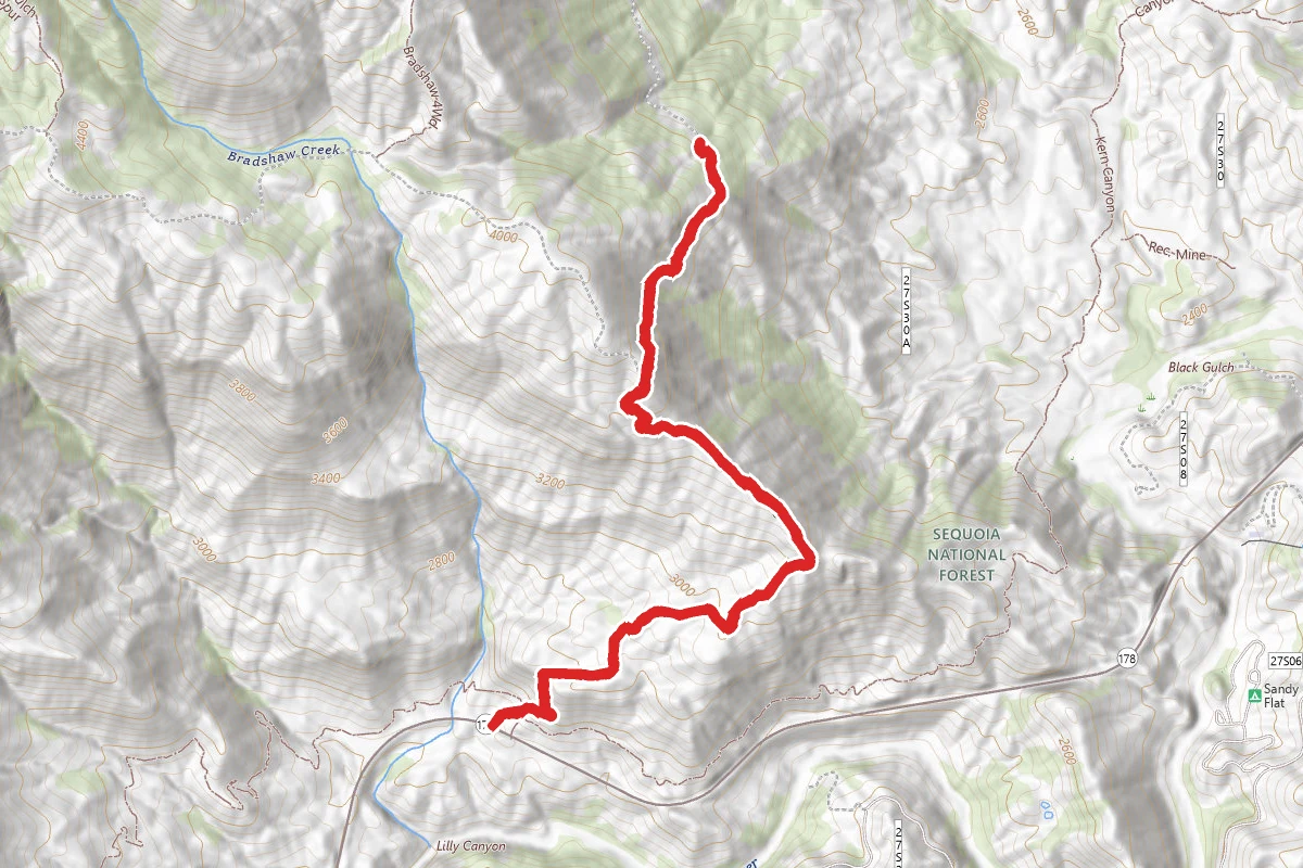 Freeway Ridge OHV Trail