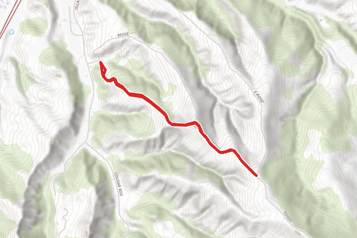 Bessie Canyon Trail