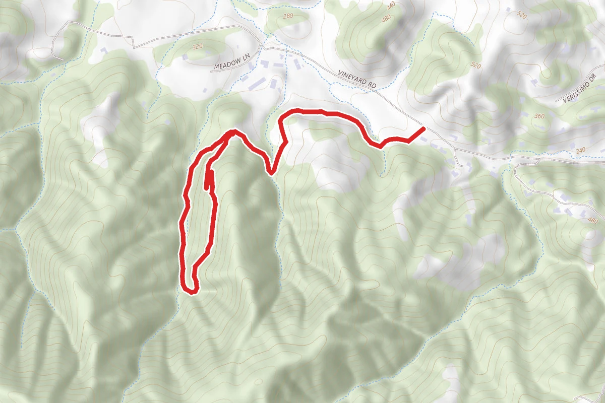 Deer Camp Fire Road Loop