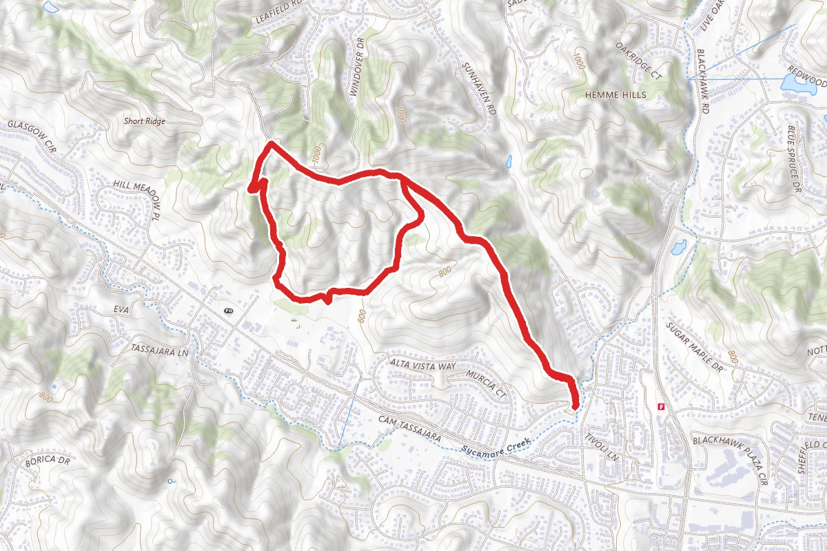 Sand Hill and Short Ridge Trail Loop