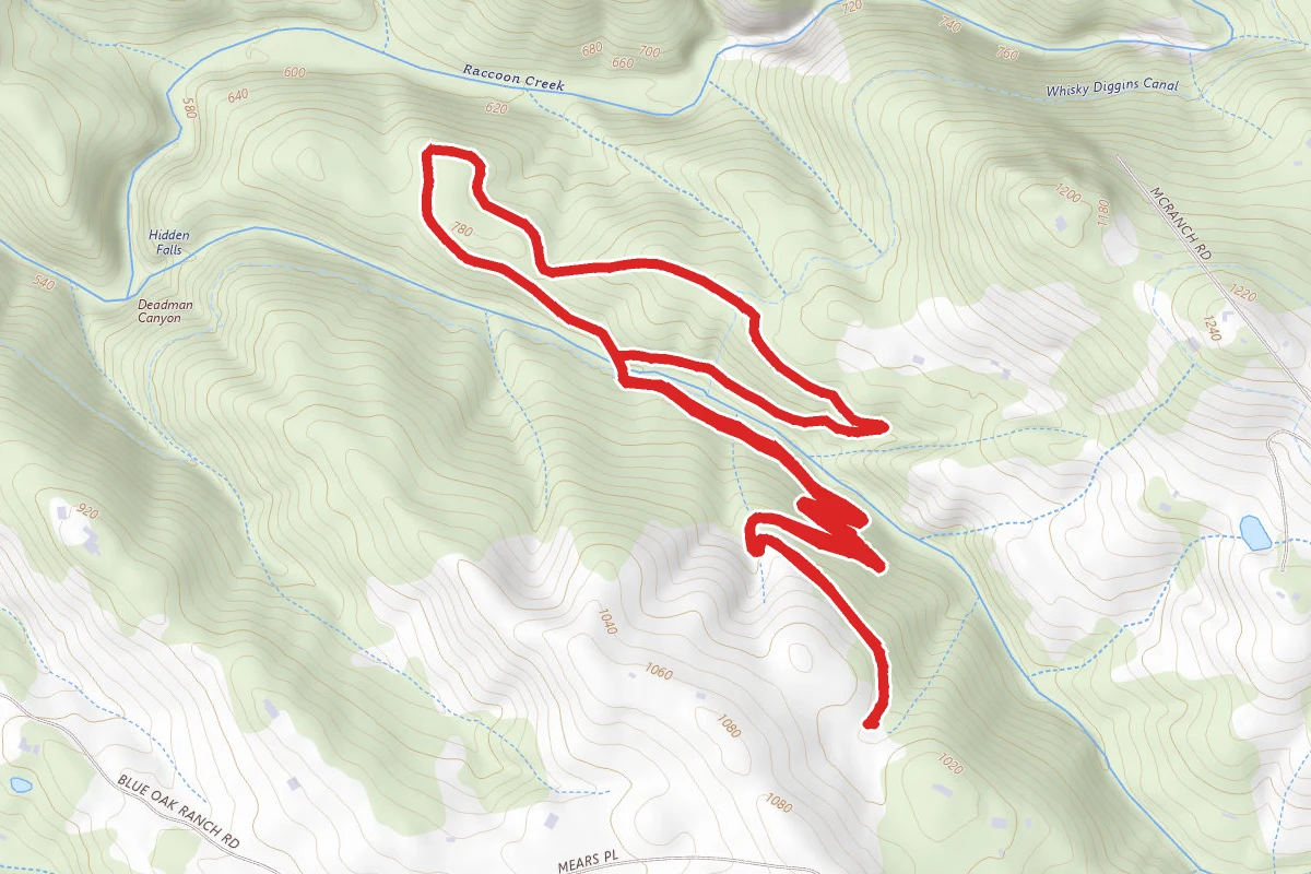 Blue Oak Loop Trail