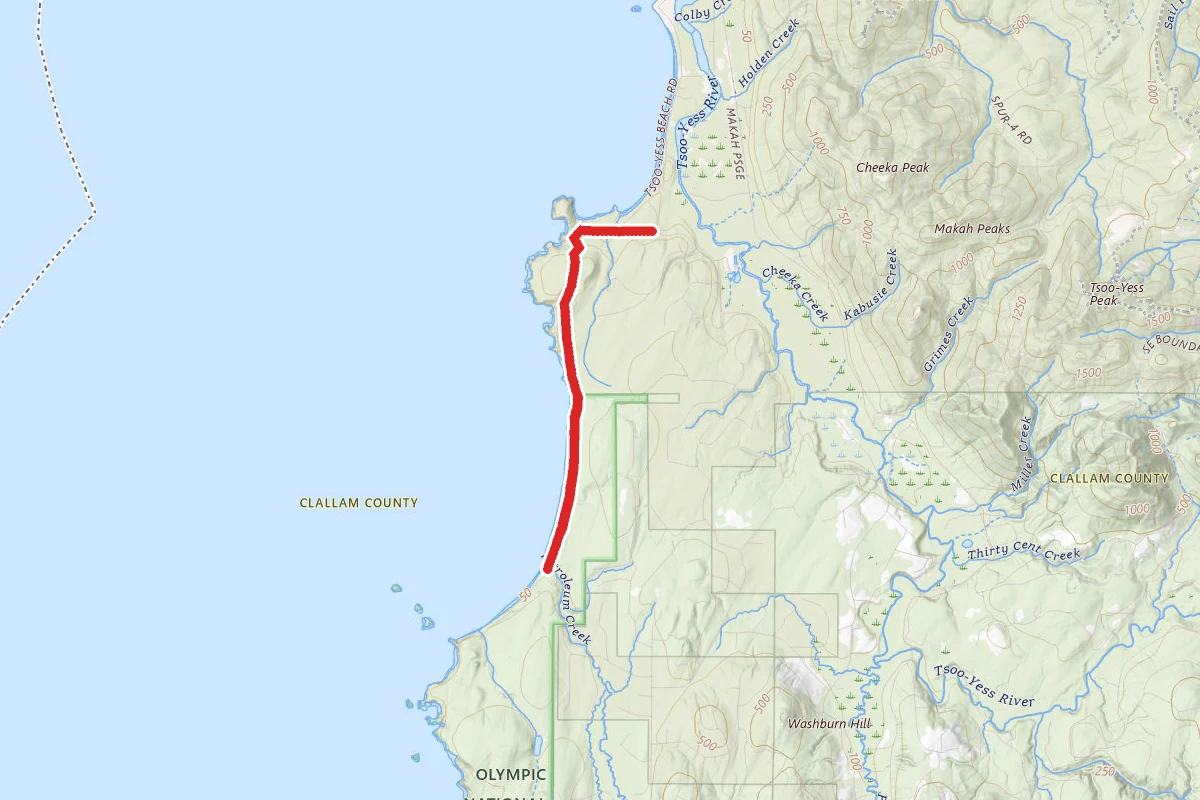 Shi Shi Beach Trail