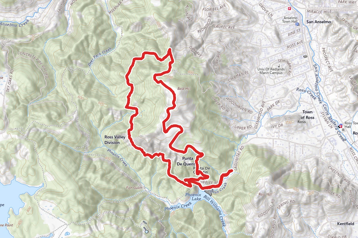 Worn Springs Fire Road to Yolanda Trail Loop