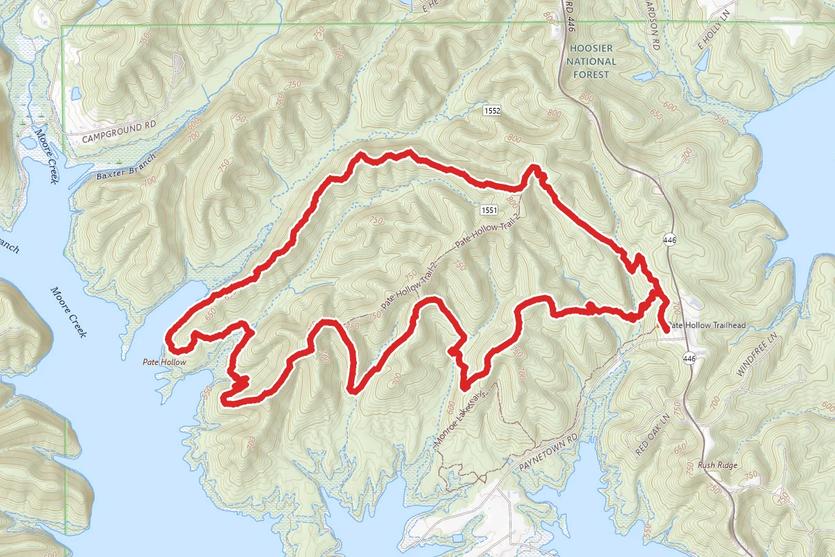 Pate Hollow Trail