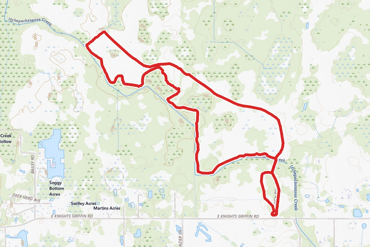 Lower Green Swamp Central to Northwest Loop