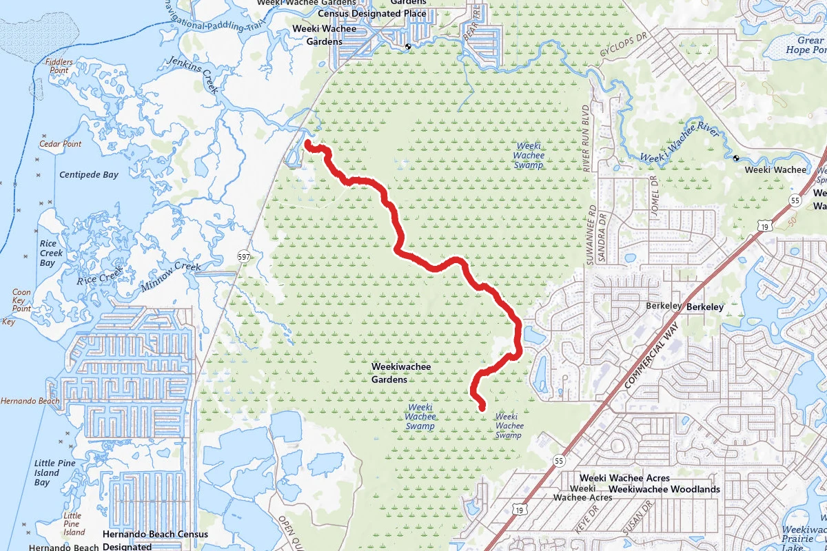 Weeki Wachee Preserve Trail via Linda Pedersen Park