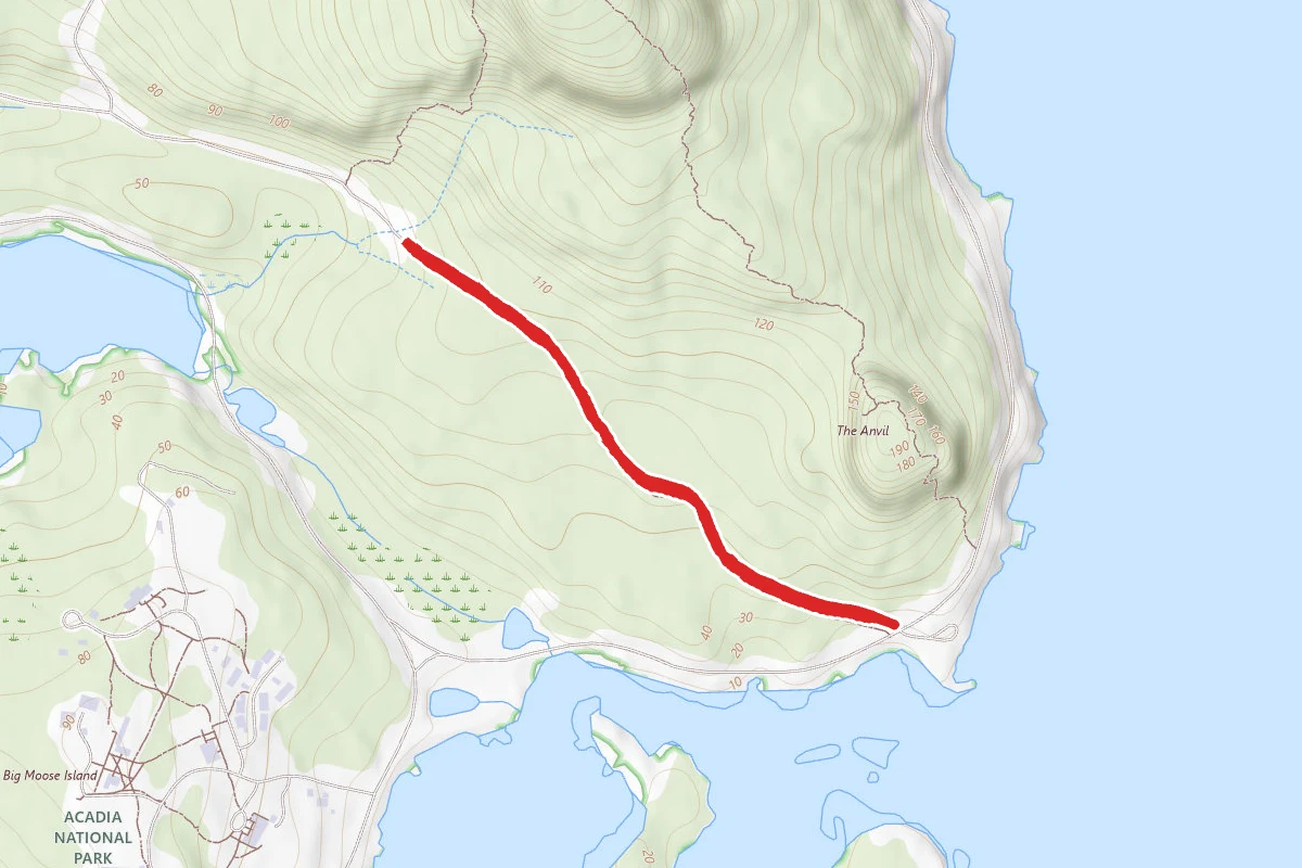 Alder Path Trail