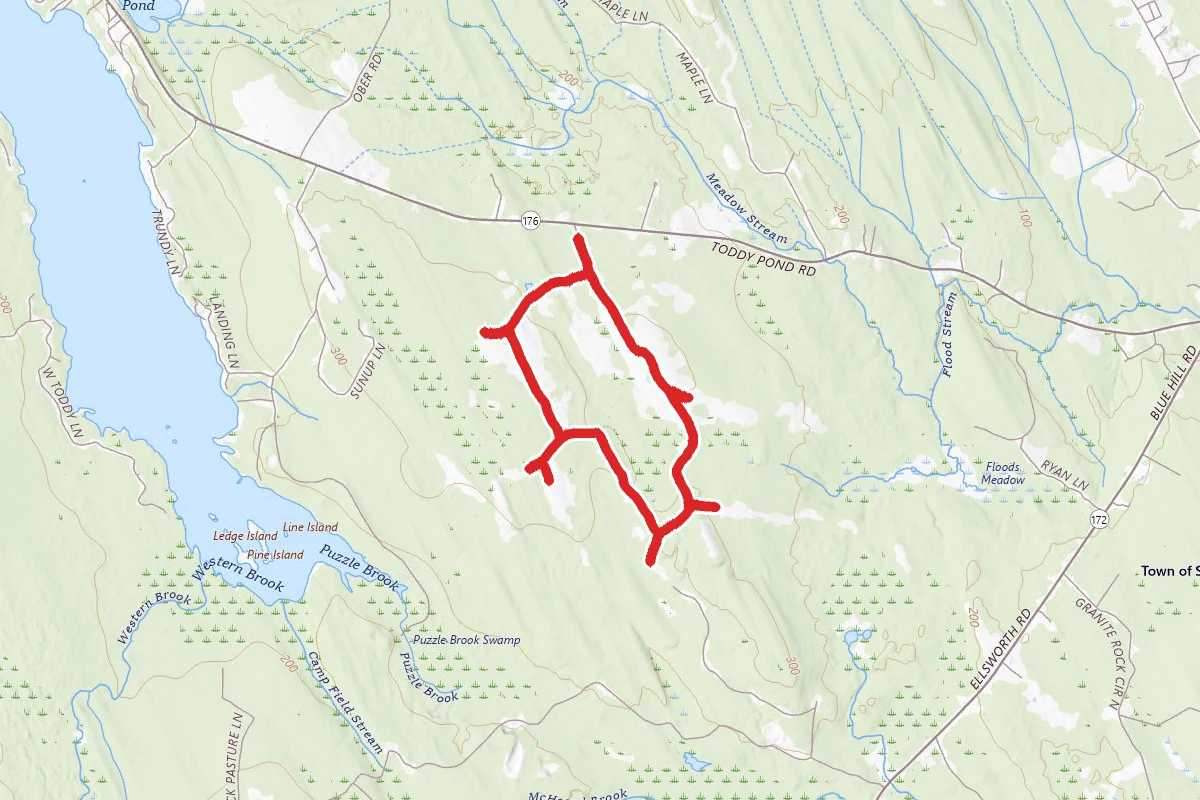 Surry Forest Loop