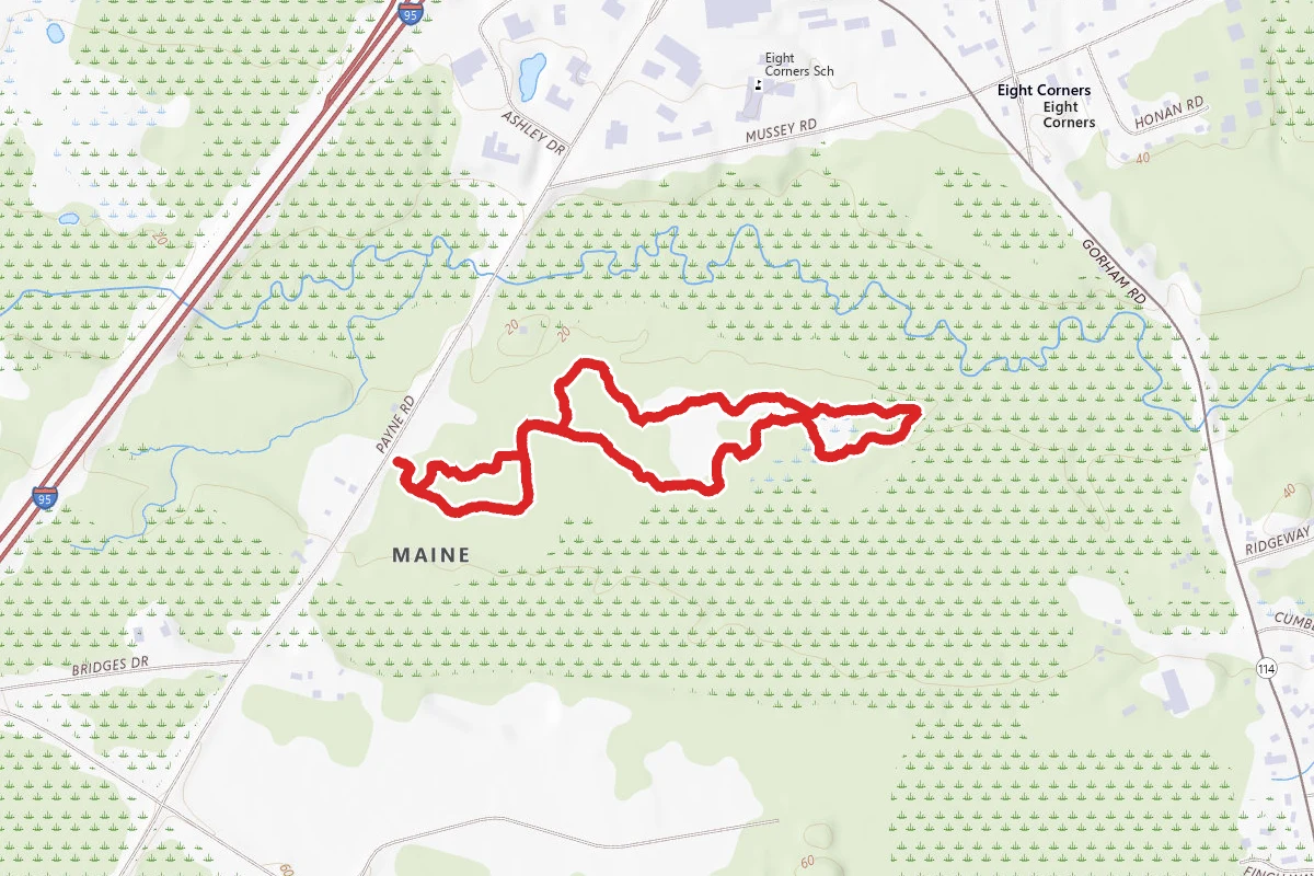Warren Woods Trail Loop