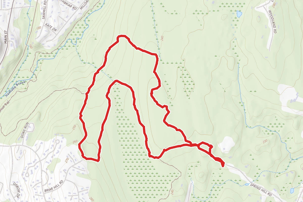 Spring Hill Yellow Loop