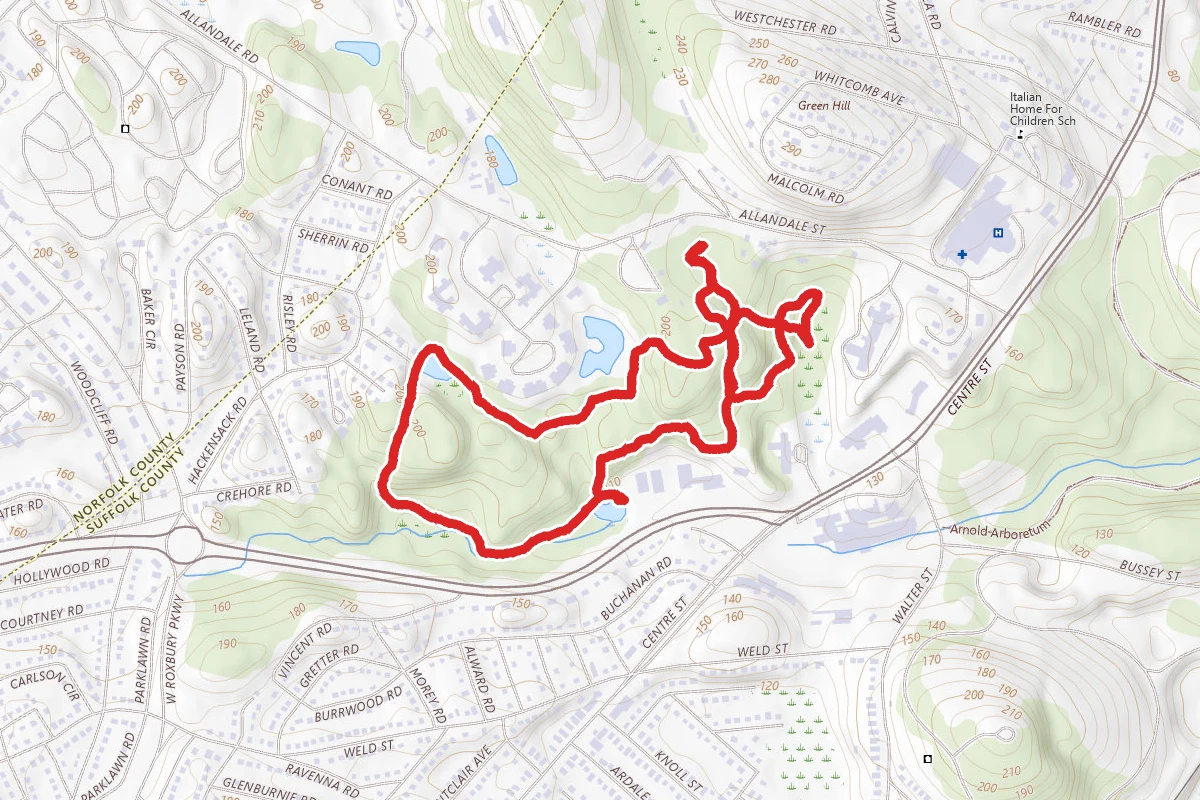 Allandale Woods Trail