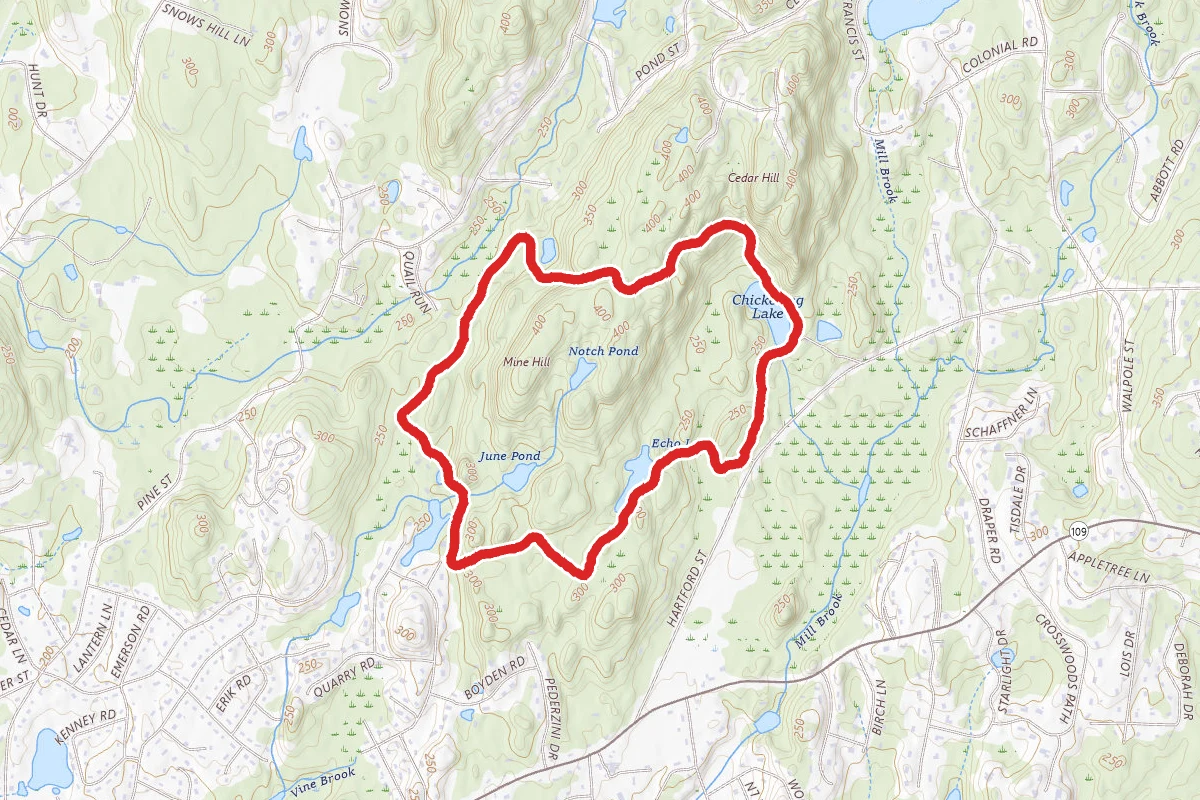 Cedar Gorge Loop