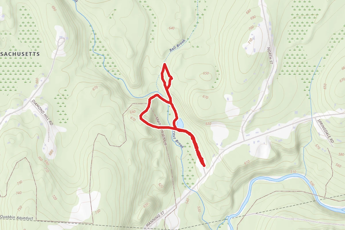 Short Loop and Mushroom Trail