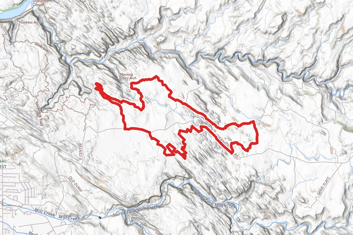 Fins & Things Trail