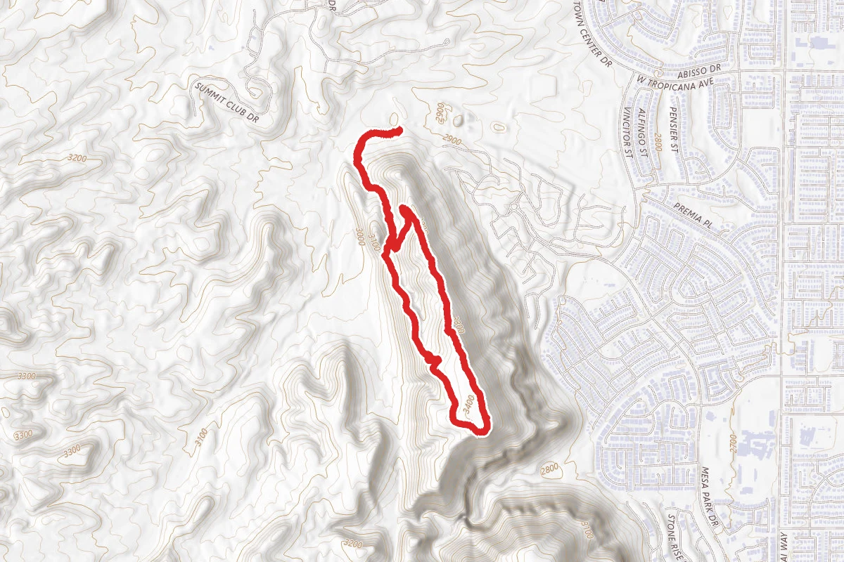 Flagpole Loop