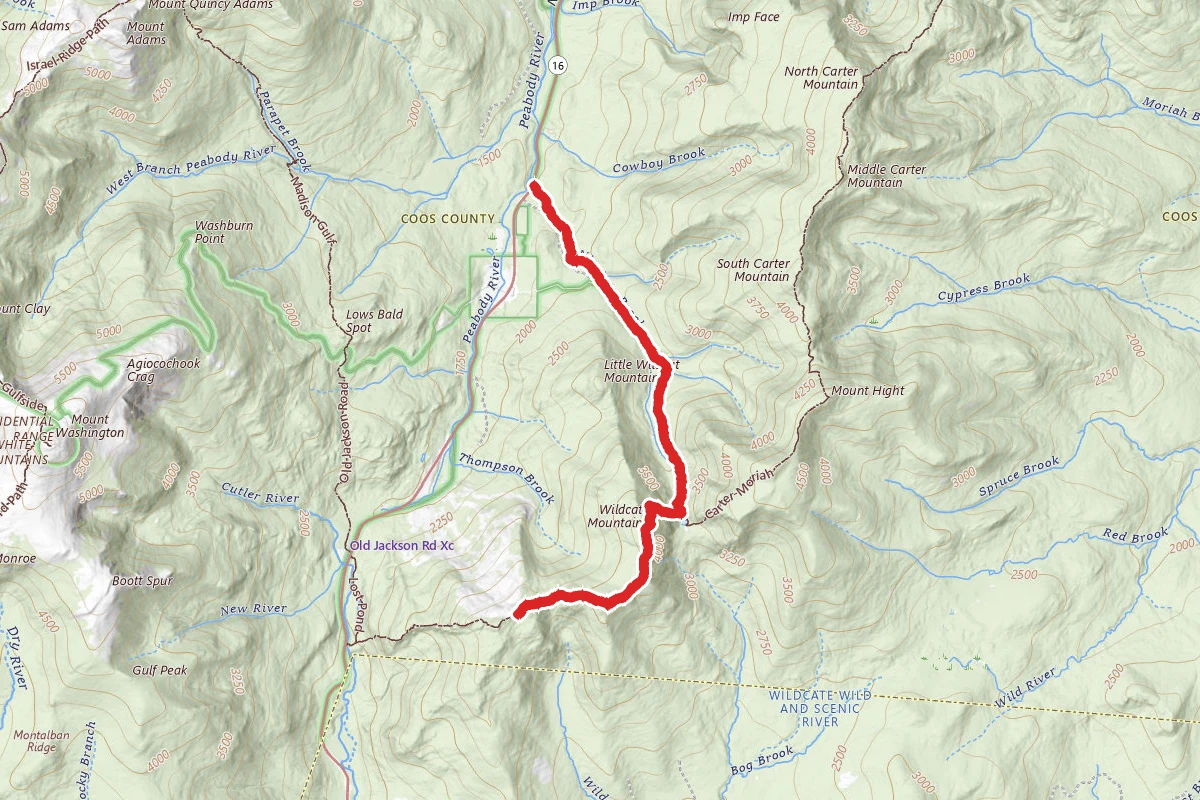 Wildcat Ridge via Nineteen Mile Brook