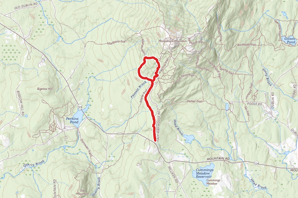 Mossy Brook and Great Pasture Loop Trail