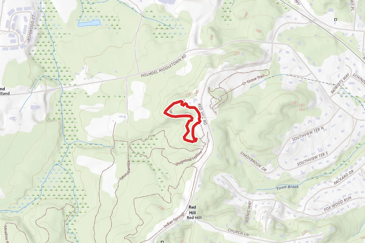 Holly Grove Loop