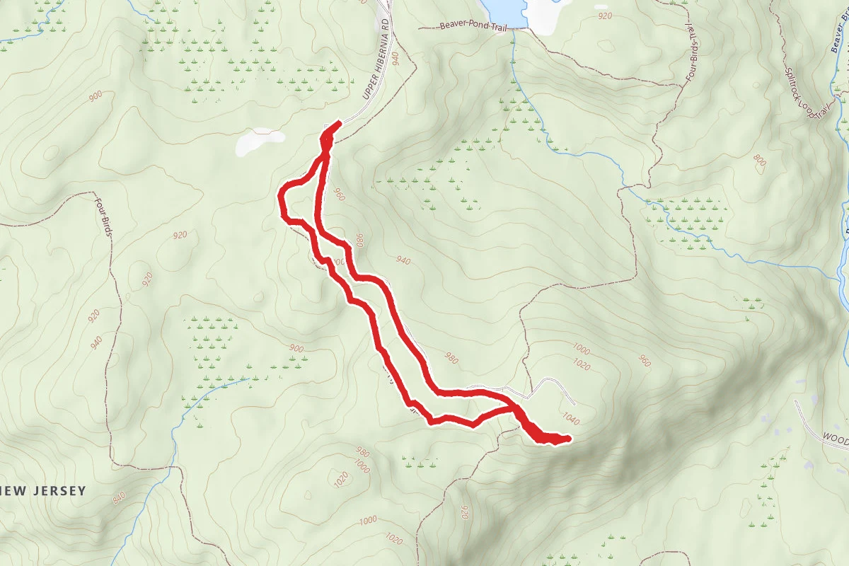 Wildcat Ridge - Orange Trail