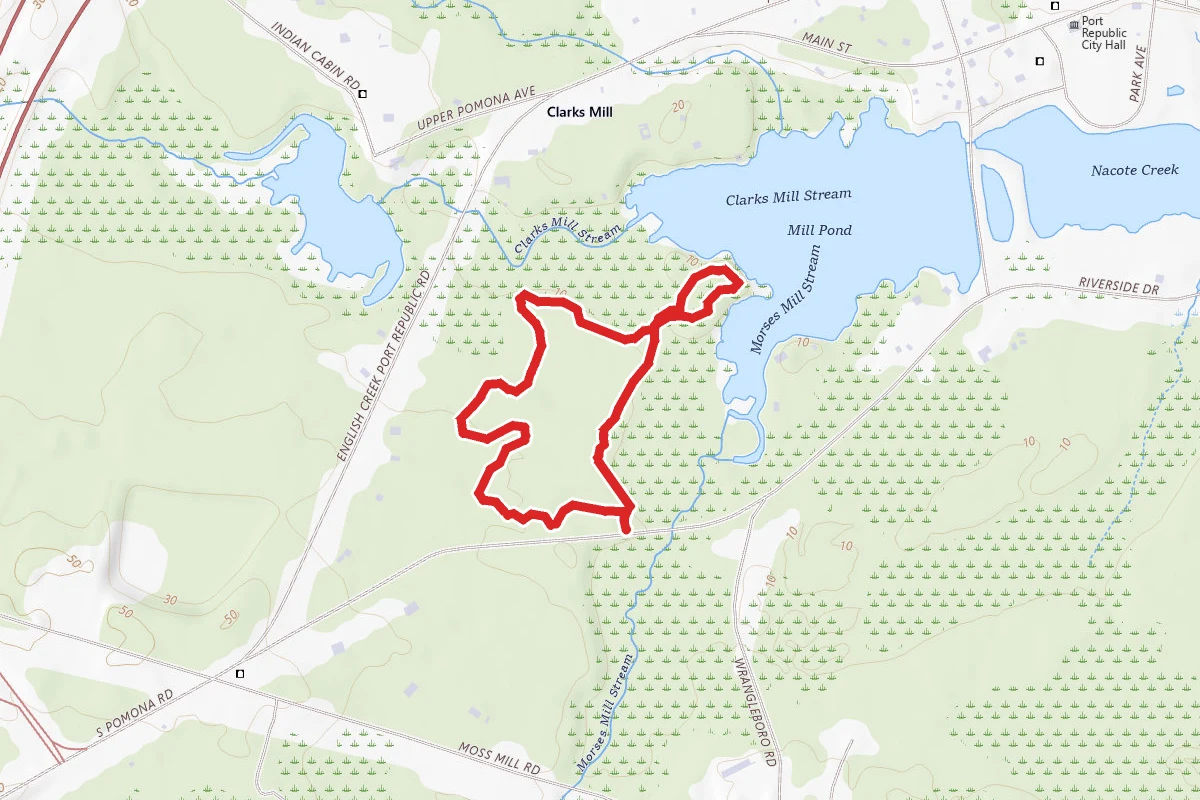 Mill Pond Loop
