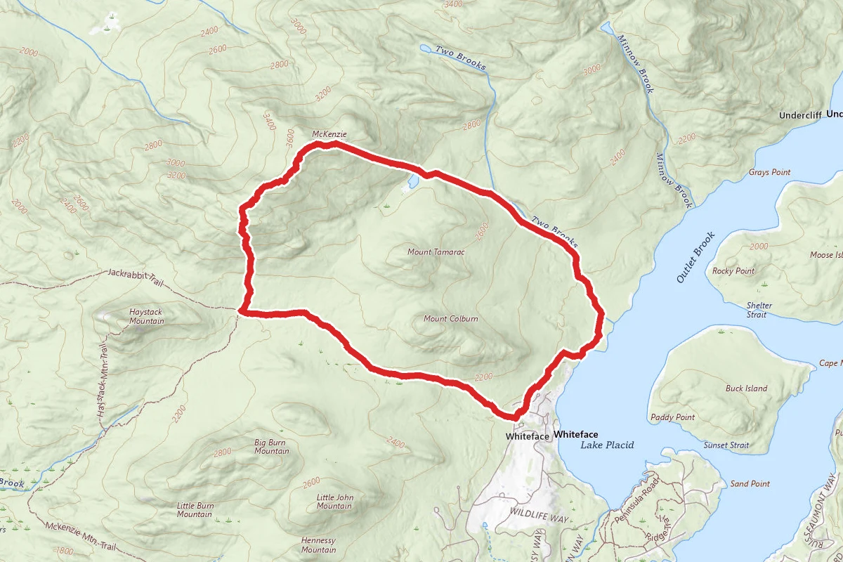 McKenzie Mountain Loop
