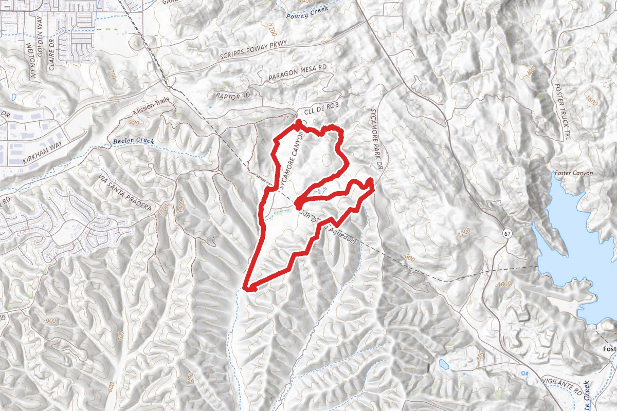Sycamore Canyon Preserve