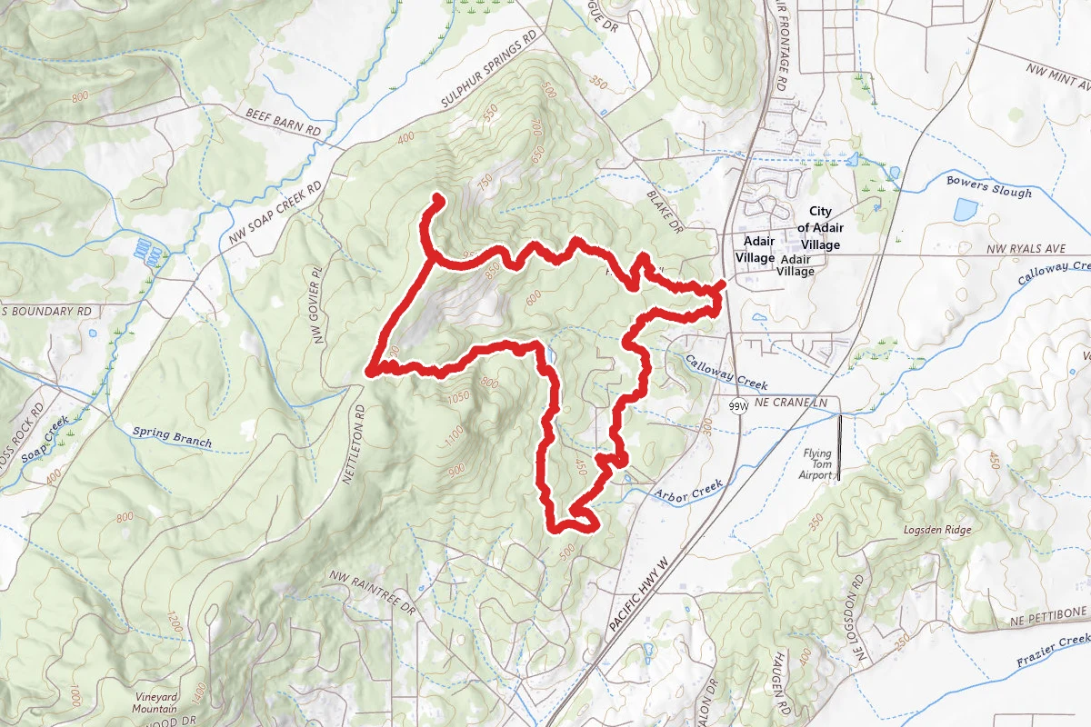 560 and Forest Discovery Loop